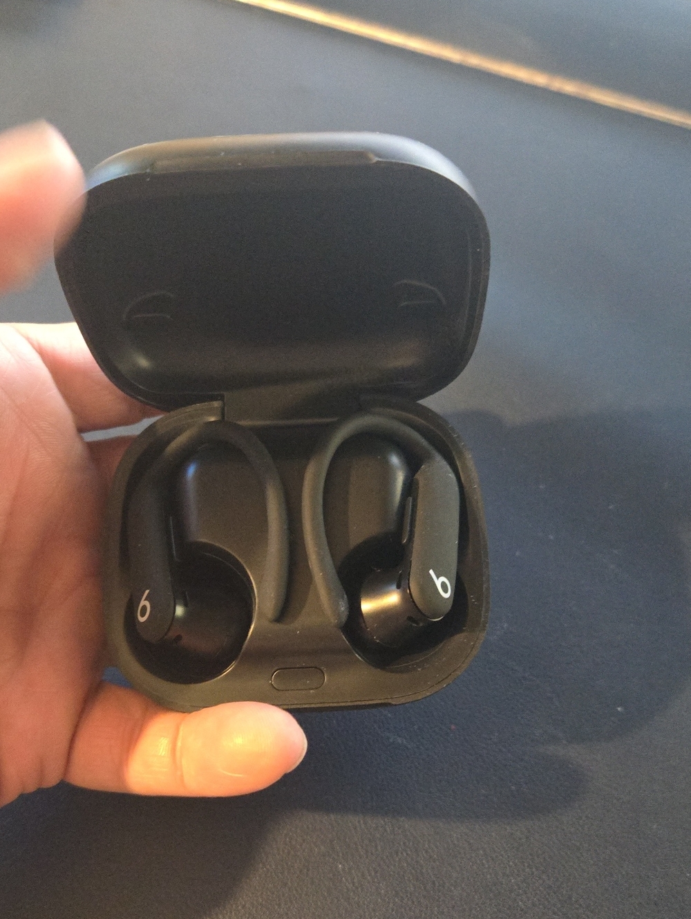 Beats Powerbeats Pro 2 Wireless Earbuds, Jet Black